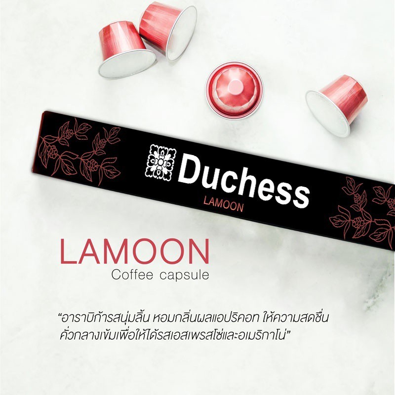 LAMOON LAMOON