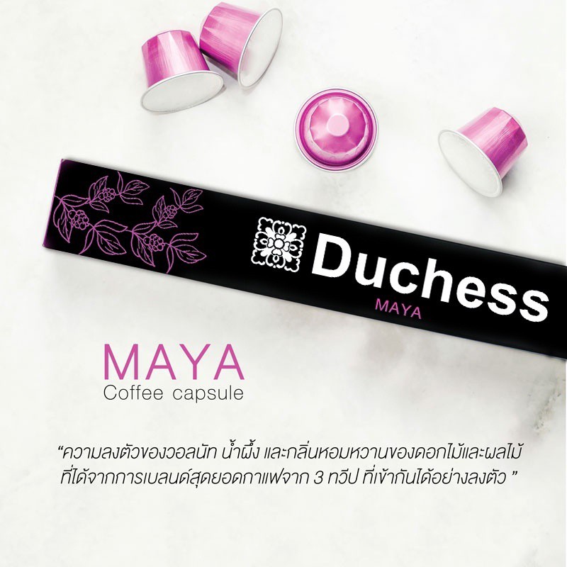 MAYA MAYA